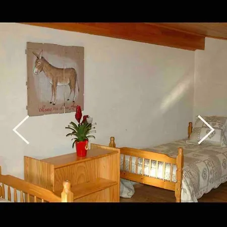 Duplex Avec Vue 莱德萨阿尔卑斯